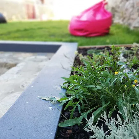 Concept - Paranhos 3*